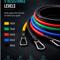 Full Body Resistance Band Workout Kit